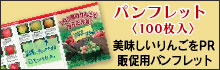 パンフレット〈100枚入〉